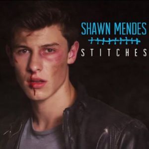 Shawn Mendes - Stitches.jpg