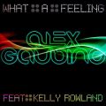 Alex Gaudino Kelly Rowland - What A Feeling.jpg