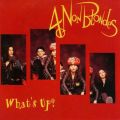 4 Non Blondes - What's Up.jpg