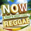 Now reggae.jpg