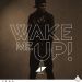 Avicii - Wake Me Up.jpg