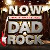 Now That's What I Call Dad Rock.jpg