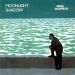 Mike Oldfield - Moonlight Shadow.jpg